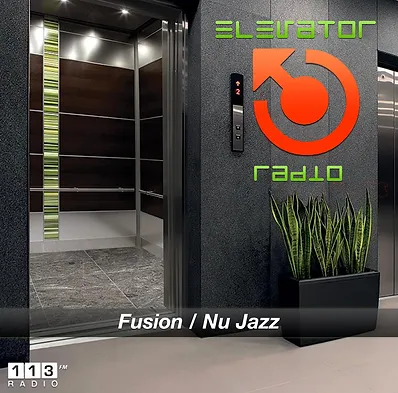113.FM Elevator logo