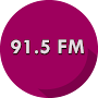 91.5 FM Panzer Radio Station logo