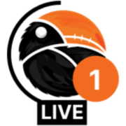 Big Radio 4 Domaćica logo