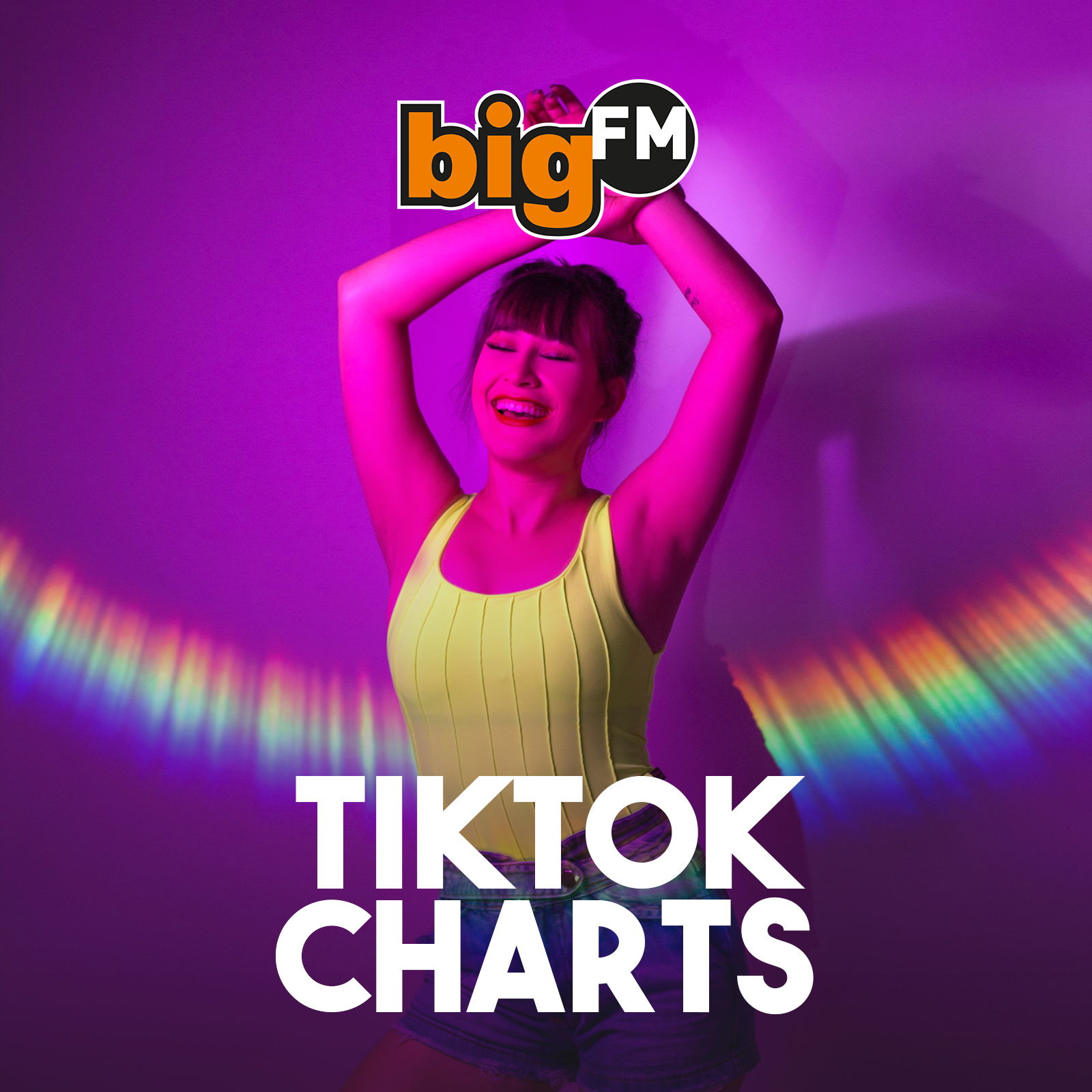 bigFM TikTok Charts logo