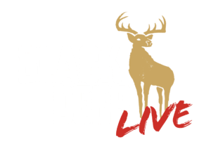 Black Deer Radio logo