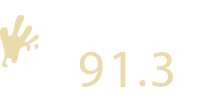 Bravo FM 91.3 logo