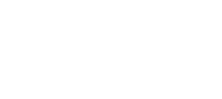 CONCIERTO PUNTA logo