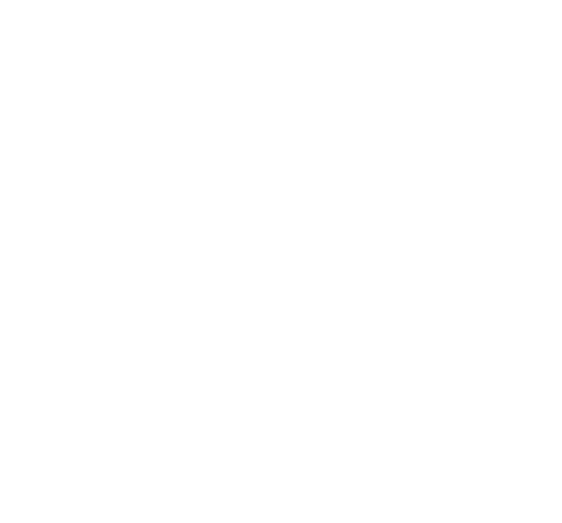 Droogies logo