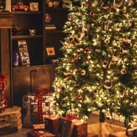 EBS | Xmas logo