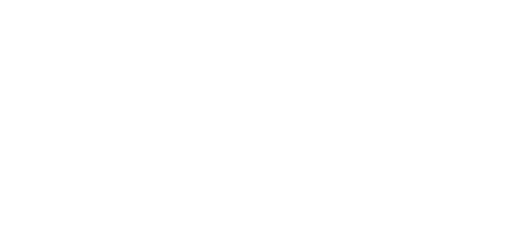 Everything Is New logo