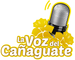 La Voz Del Cañaguate 860 AM logo
