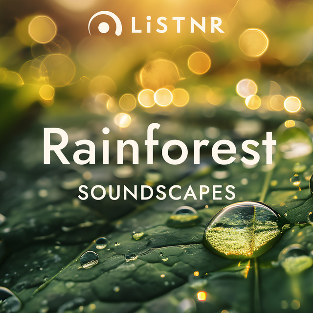LiSTNR - Rainforest [Soundscapes] logo