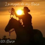 Lo mejor de mi llano logo