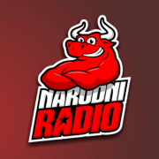Narodni Radio - Sarajevo logo