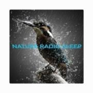 NATURE RADIO SLEEP logo