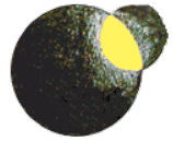 Orbital FM logo