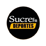 Play FM 95.3 logo