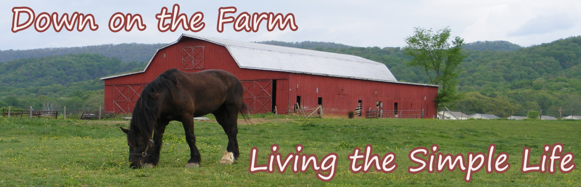 Ritter Farms Internet Radio logo