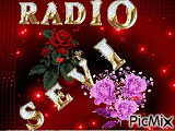 Sevi logo